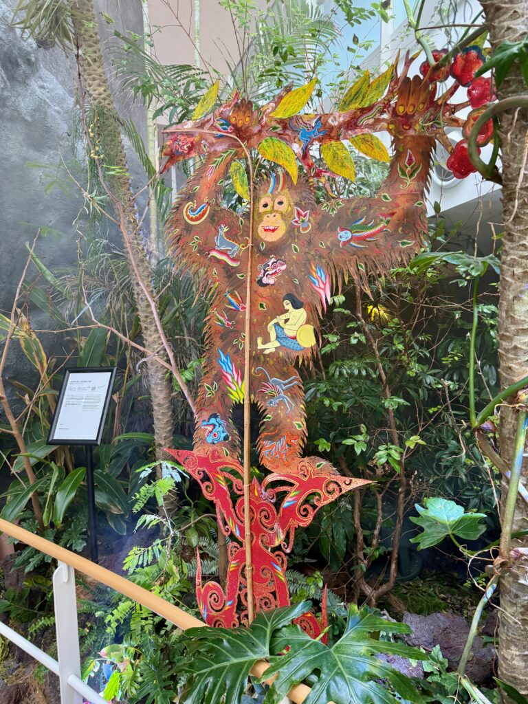 Orangutangs of Indonesia