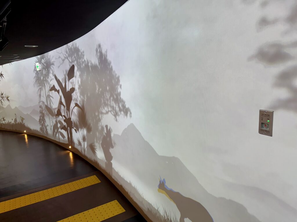 Projected images on walls in China's pavilion