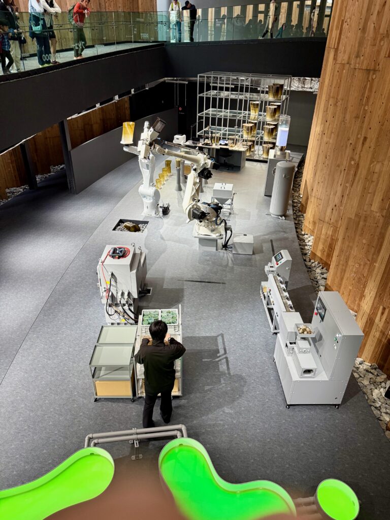 A factory making a biodegradable chair