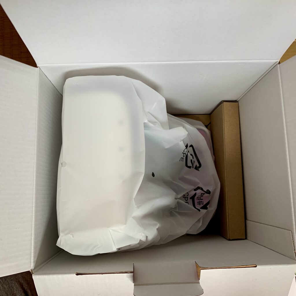 The Egret II mini itself